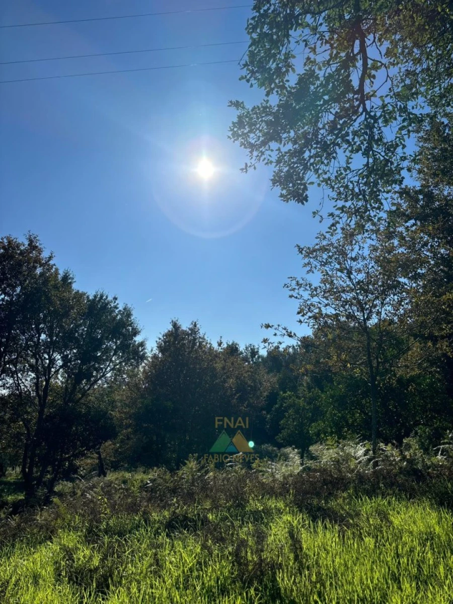 Terreno para Venda em Vila Verde e Barbudo Foto 24