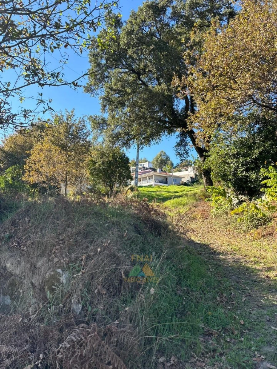 Terreno para Venda em Vila Verde e Barbudo Foto 26