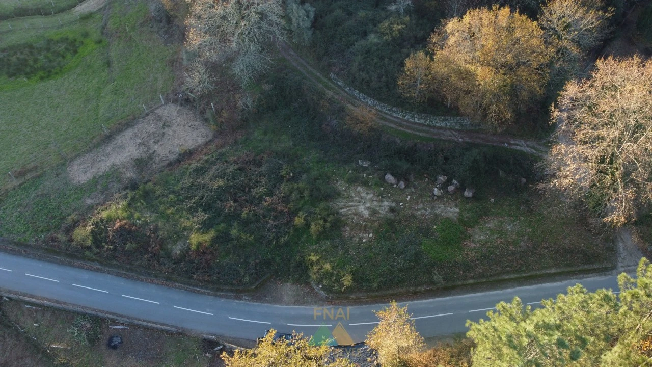 Terreno para Venda em Prozelo Foto 5