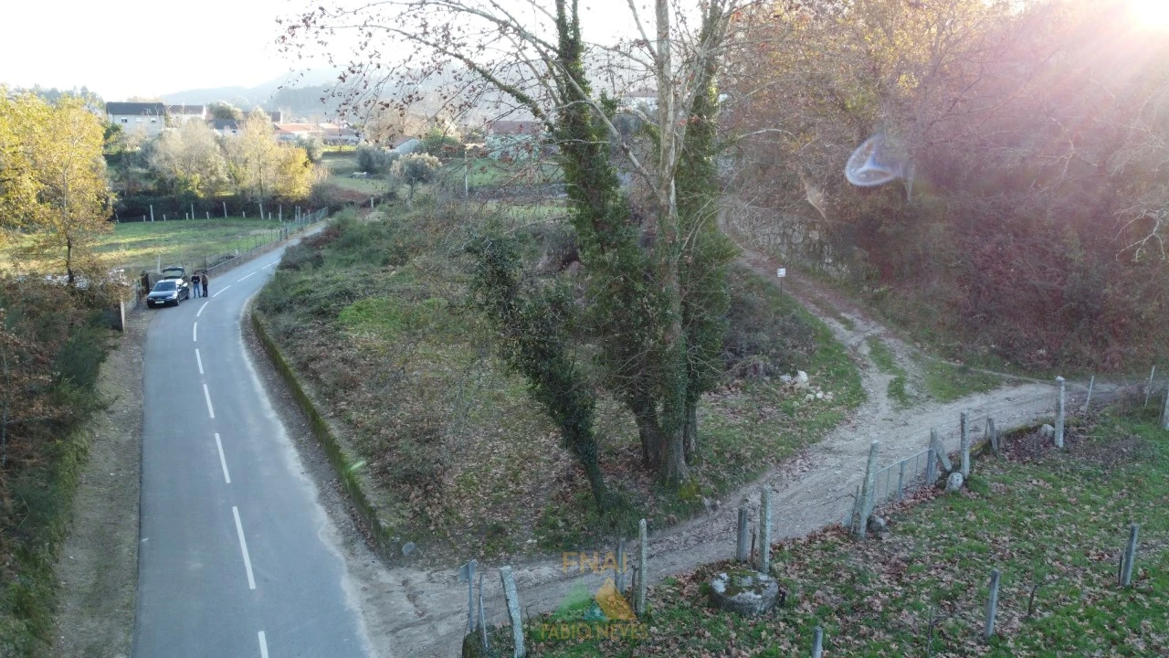Terreno para Venda em Prozelo Foto 11