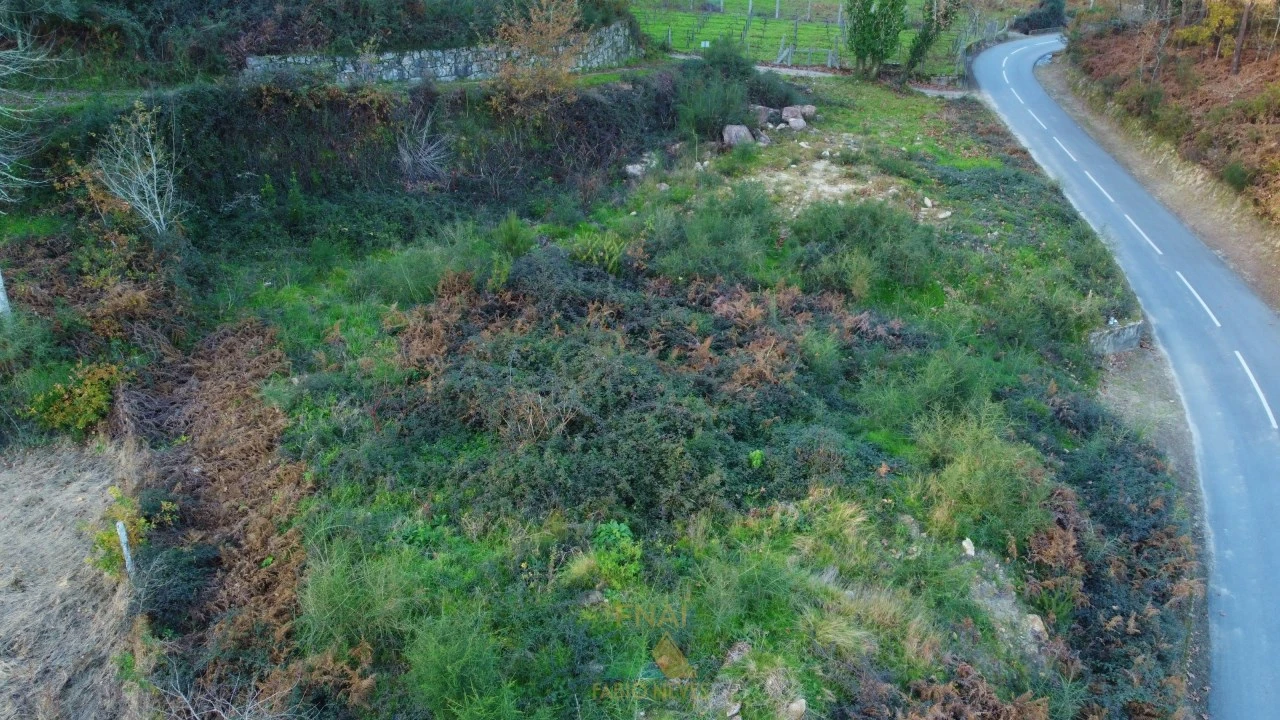 Terreno para Venda em Prozelo Foto 13