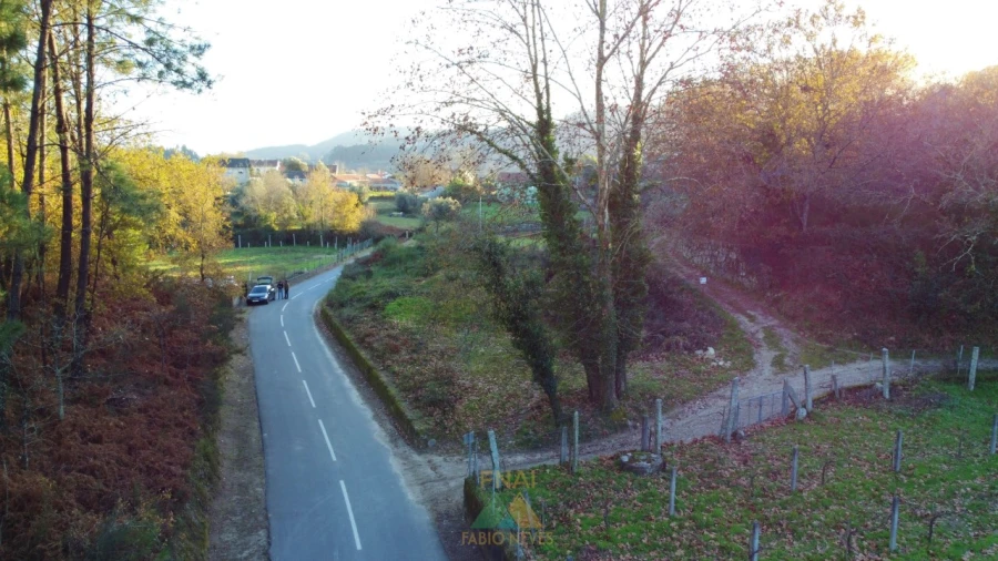 Terreno para Venda em Prozelo Foto 3