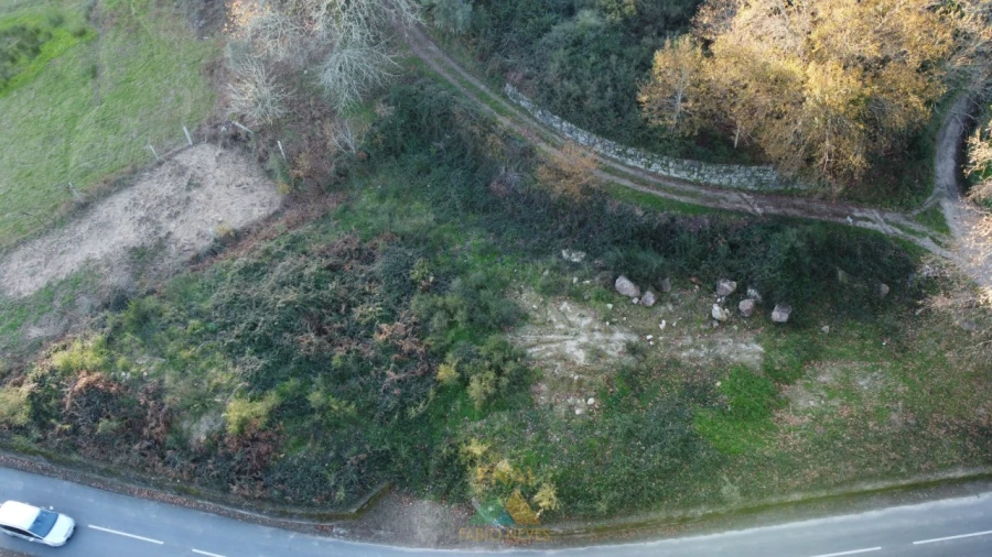 Terreno para Venda em Prozelo Foto 9