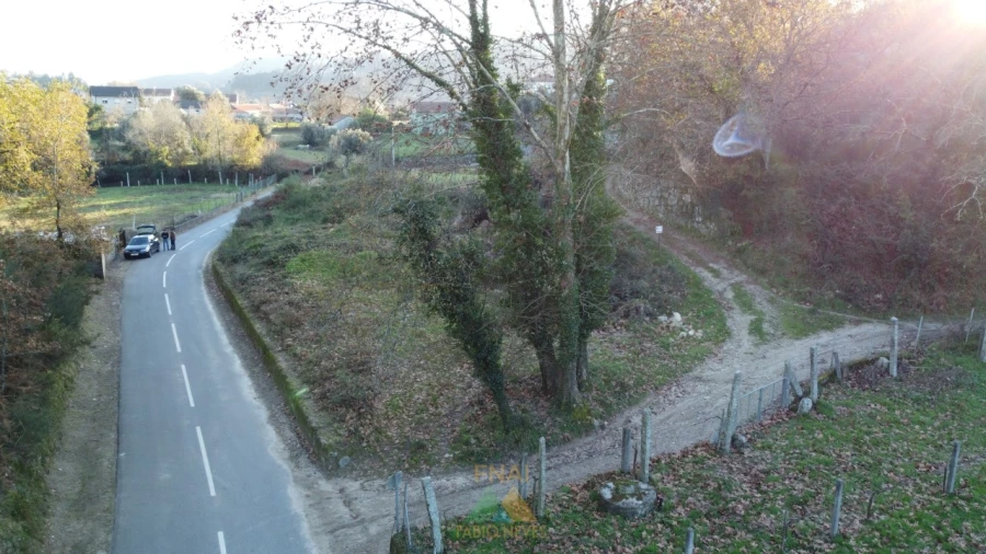 Terreno para Venda em Prozelo Foto 11