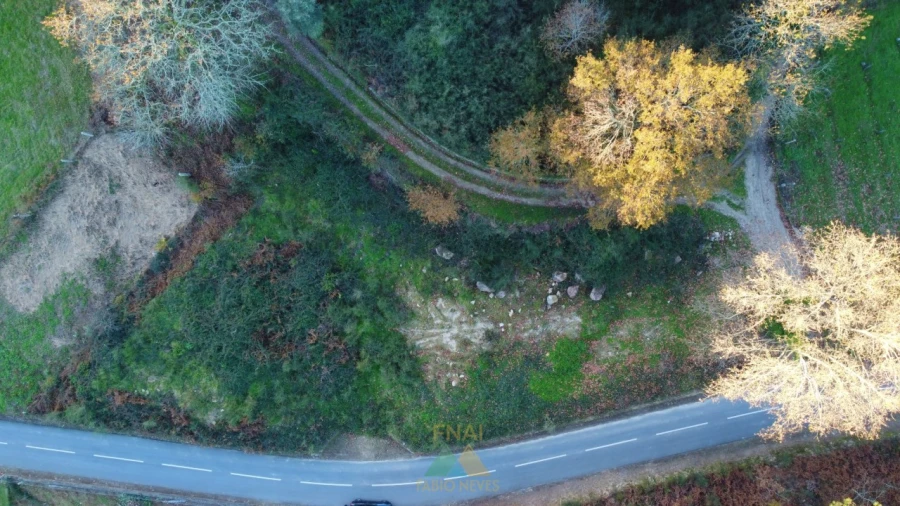 Terreno para Venda em Prozelo Foto 15