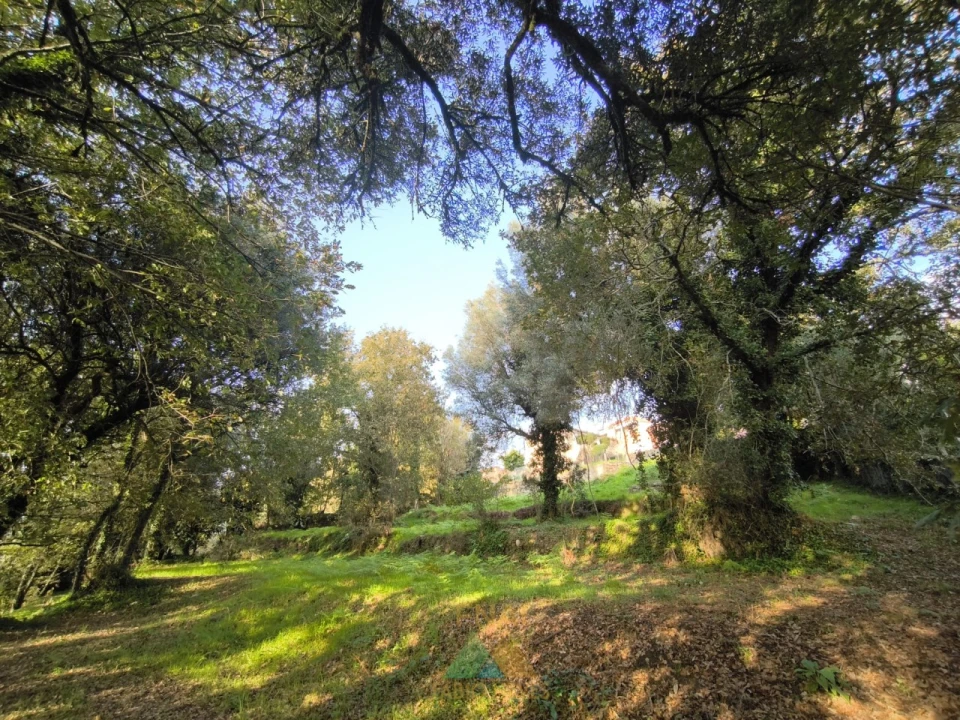 Terreno para Venda em Vilela, São Cosme e São Damião e Sá Foto 1