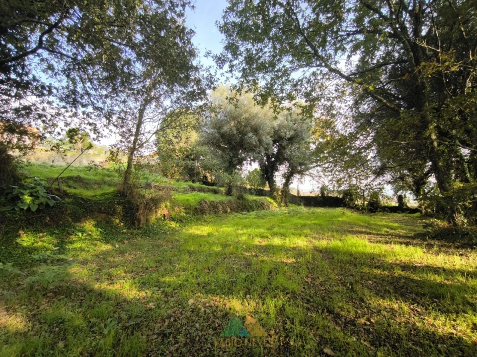 Terreno para Venda em Vilela, São Cosme e São Damião e Sá Foto 2