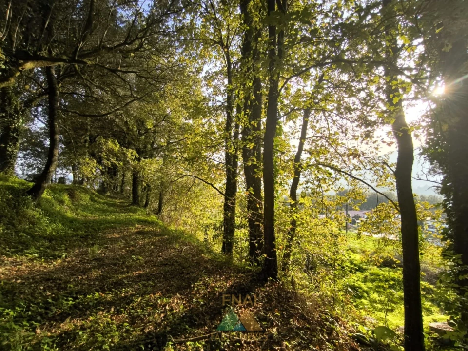 Terreno para Venda em Vilela, São Cosme e São Damião e Sá Foto 3