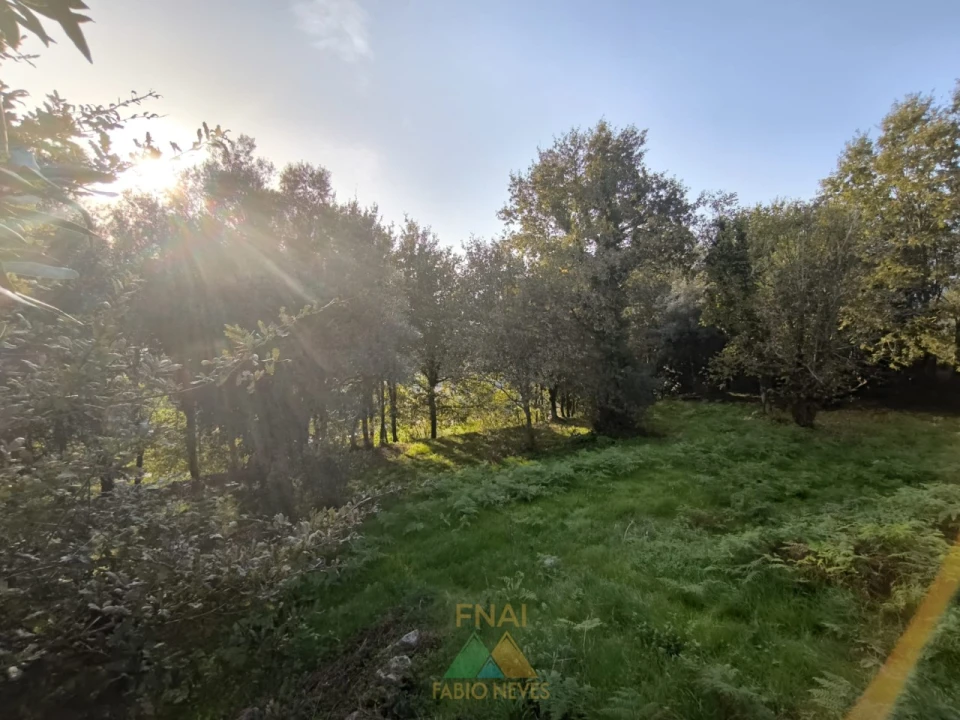 Terreno para Venda em Vilela, São Cosme e São Damião e Sá Foto 14