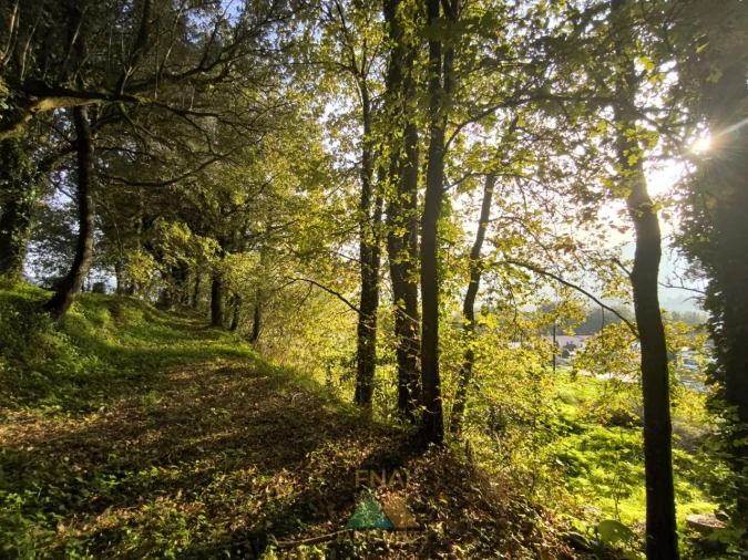 Terreno para Venda em Vilela, São Cosme e São Damião e Sá Foto 3