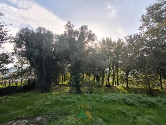 Terreno para Venda em Vilela, São Cosme e São Damião e Sá Foto 9