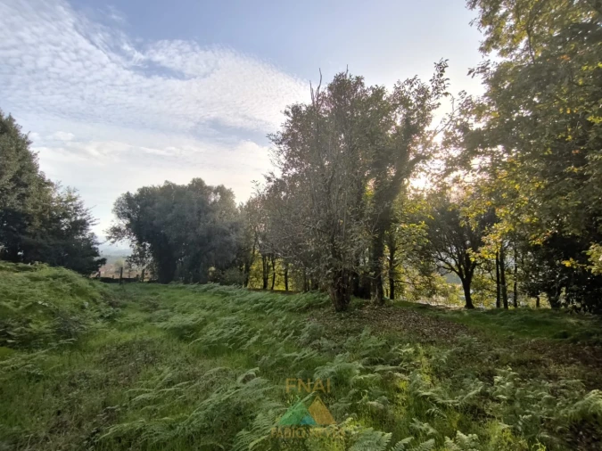 Terreno para Venda em Vilela, São Cosme e São Damião e Sá Foto 10