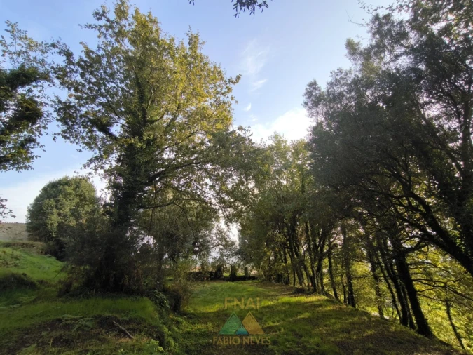 Terreno para Venda em Vilela, São Cosme e São Damião e Sá Foto 11