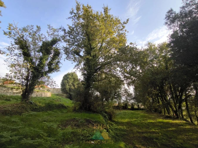 Terreno para Venda em Vilela, São Cosme e São Damião e Sá Foto 12