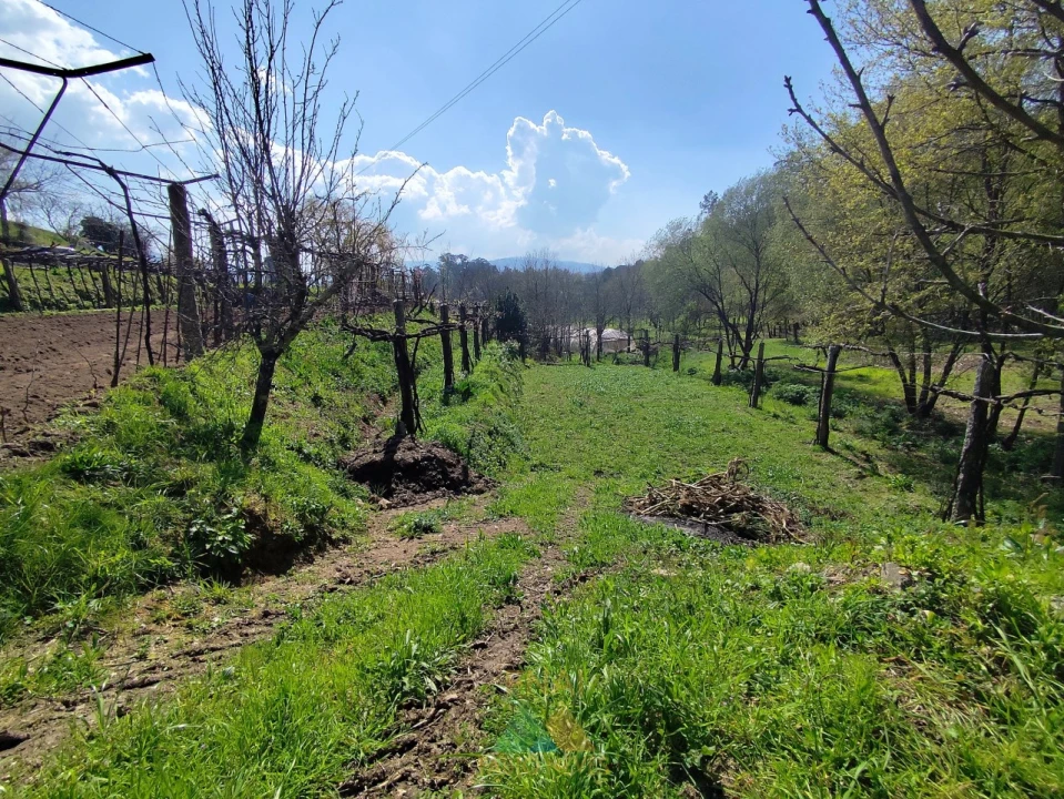Terreno para Venda em Oliveira Foto 13