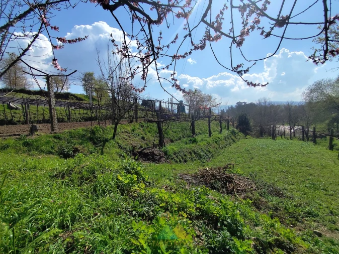 Terreno para Venda em Oliveira Foto 10
