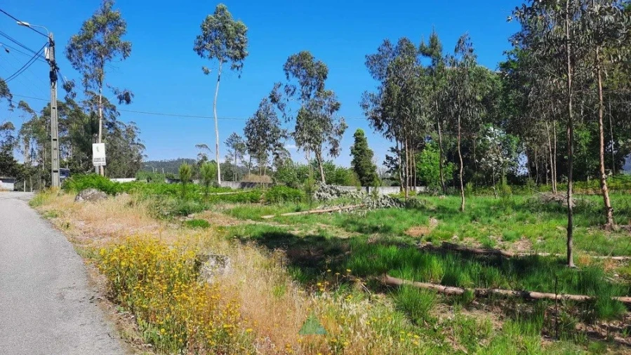 Terreno para Venda em Ardegão, Freixo e Mato Foto 3