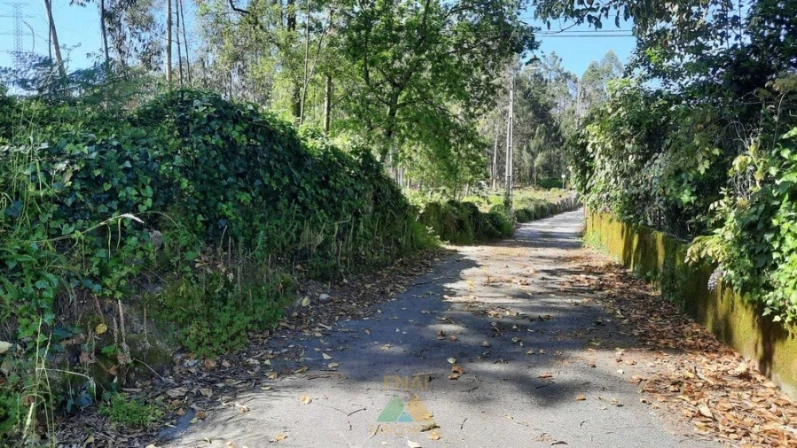 Terreno para Venda em Ardegão, Freixo e Mato Foto 4