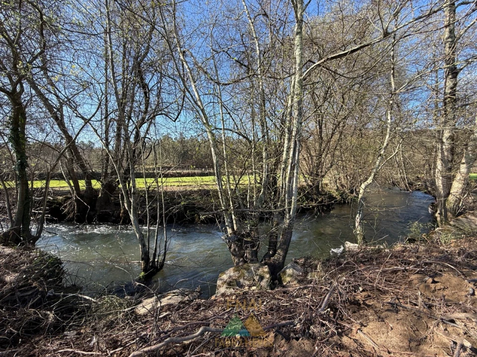 Quinta T4 para Venda em Panque Foto 12