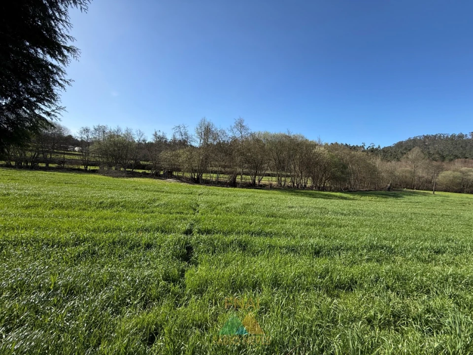 Quinta T4 para Venda em Panque Foto 15