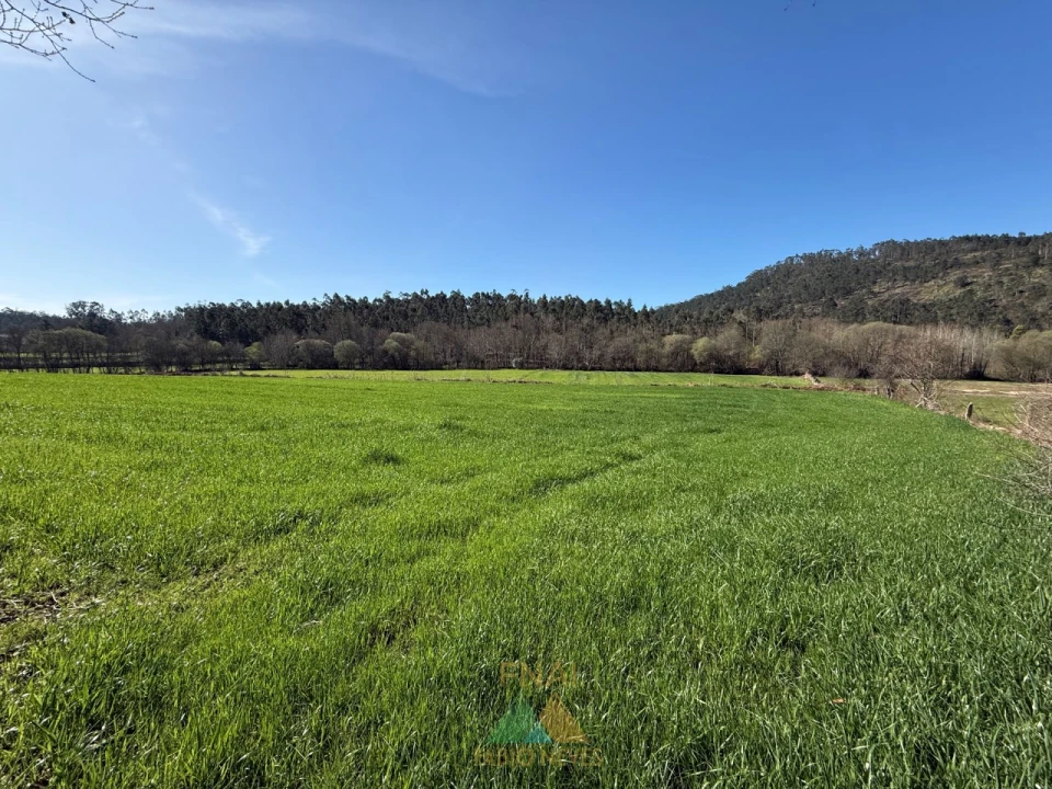 Quinta T4 para Venda em Panque Foto 52