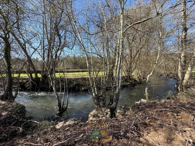 Quinta T4 para Venda em Panque Foto 12