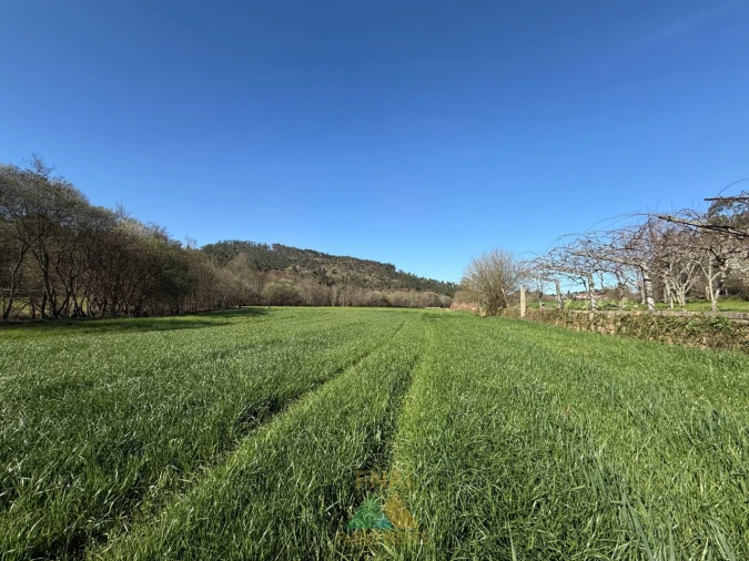 Quinta T4 para Venda em Panque Foto 13