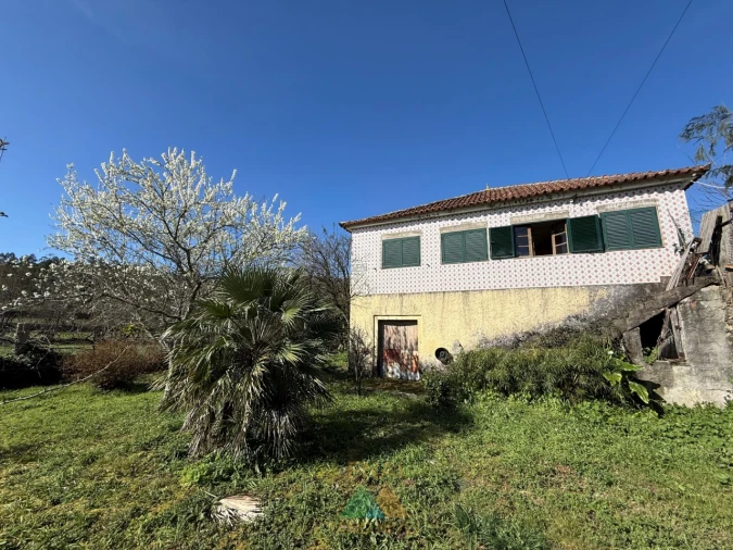 Quinta T4 para Venda em Panque Foto 2