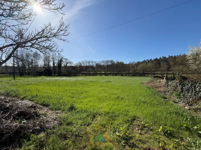 Quinta T4 para Venda em Panque Foto 30