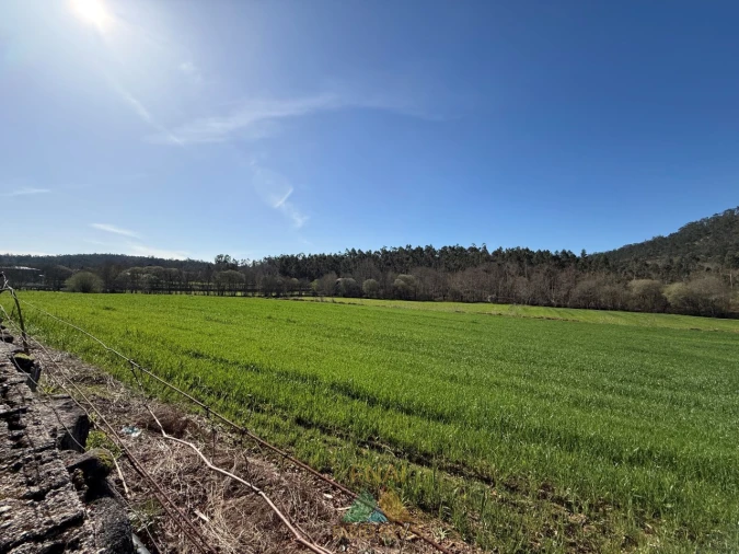 Quinta T4 para Venda em Panque Foto 51