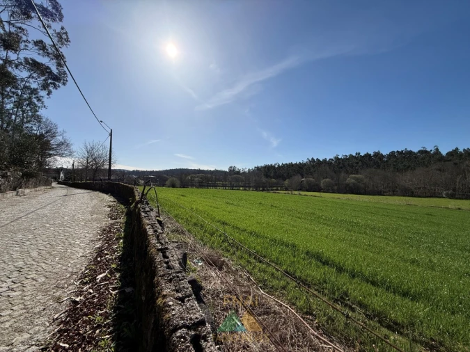 Quinta T4 para Venda em Panque Foto 8