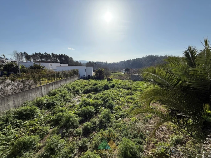 Terreno para Venda em Paço Foto 1