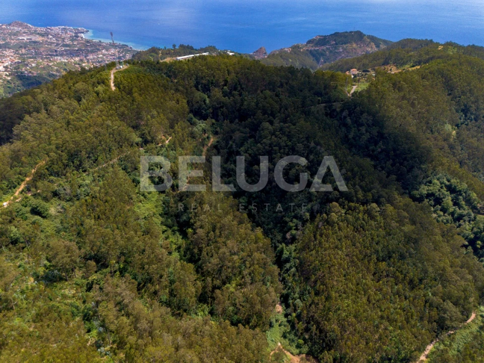 Terreno para Venda em Campanario Foto 6