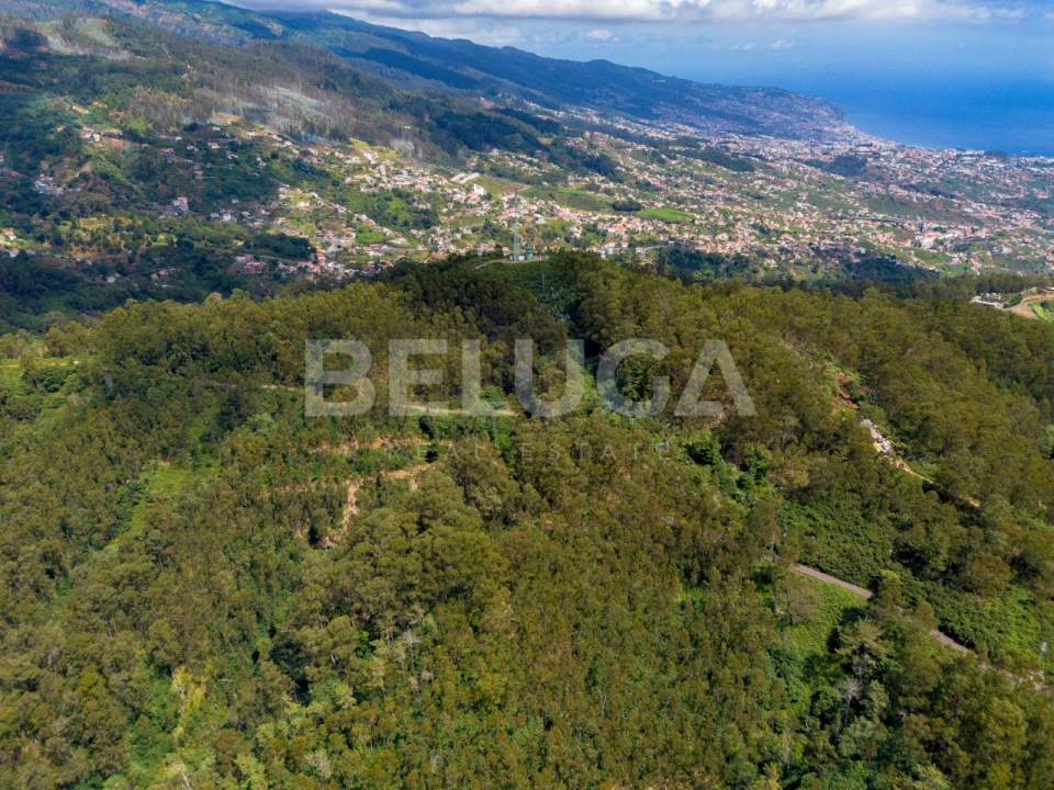 Terreno para Venda em Campanario Foto 8