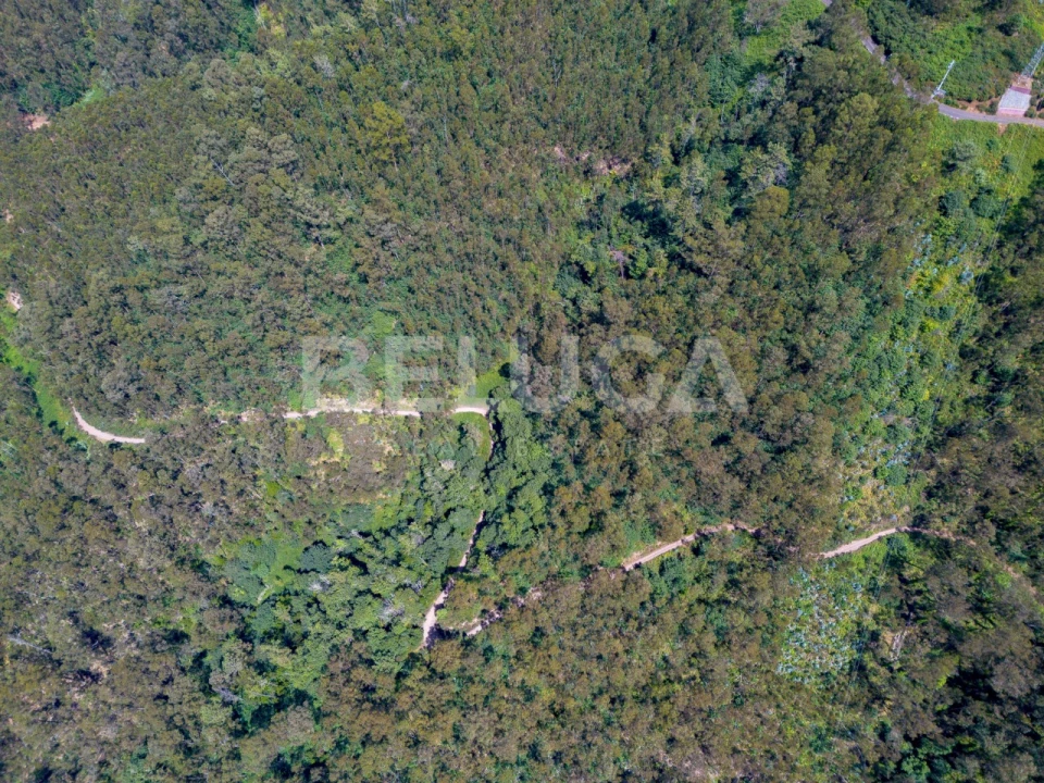 Terreno para Venda em Campanario Foto 10