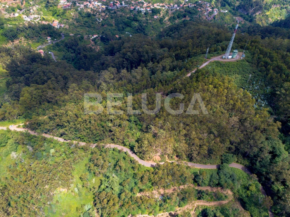 Terreno para Venda em Campanario Foto 12