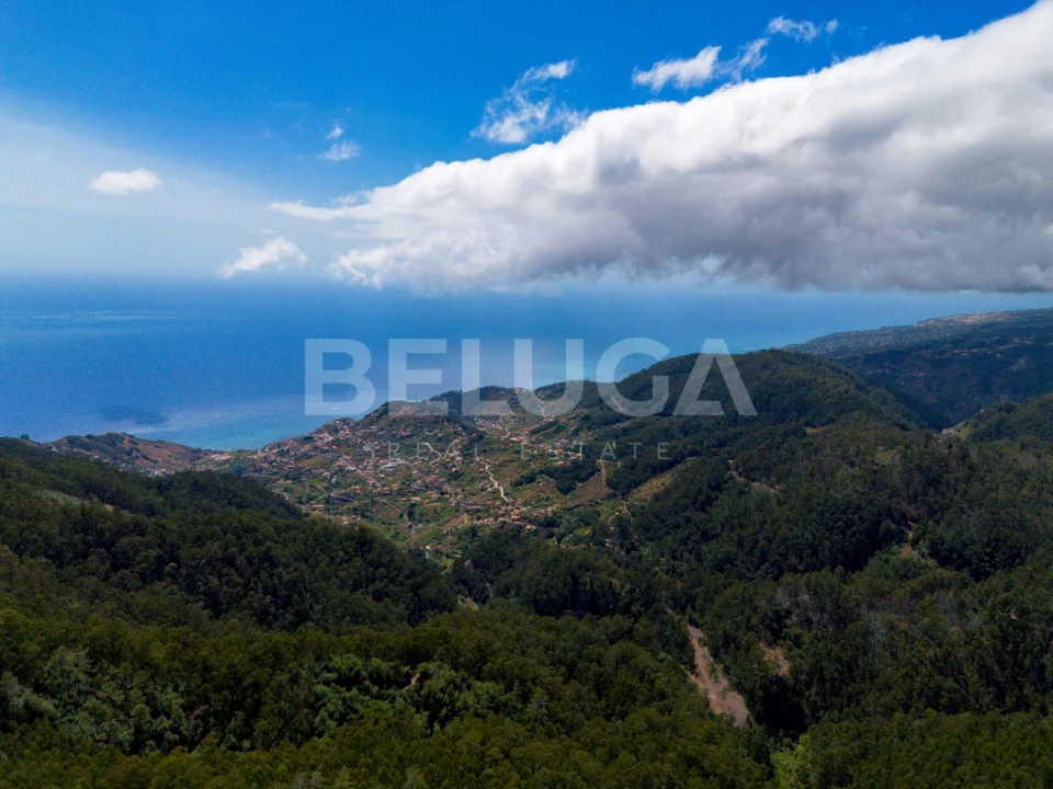 Terreno para Venda em Campanario Foto 16