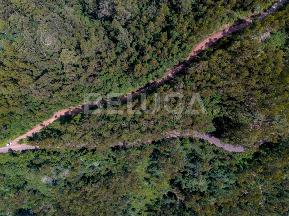Terreno para Venda em Campanario Foto 17