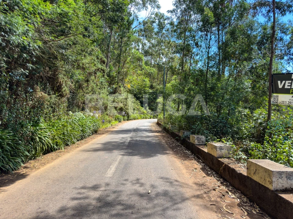 Terreno para Venda em Campanario Foto 23
