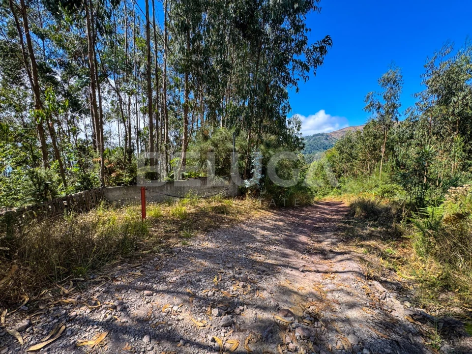 Terreno para Venda em Campanario Foto 27