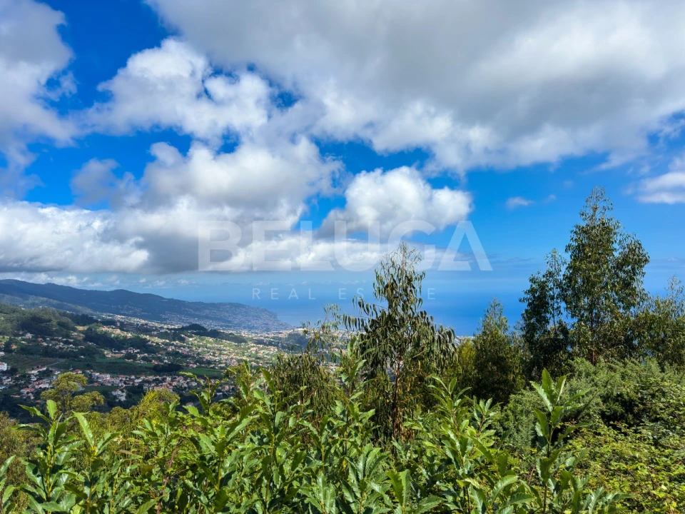 Terreno para Venda em Campanario Foto 29