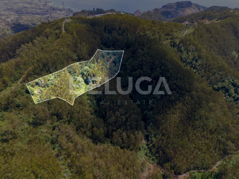 Terreno para Venda em Campanario Foto 1