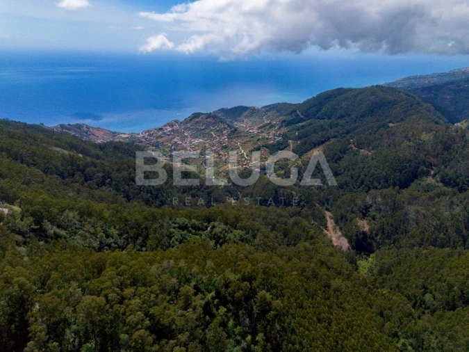 Terreno para Venda em Campanario Foto 15