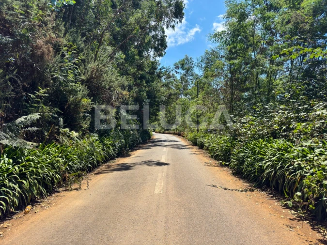Terreno para Venda em Campanario Foto 18