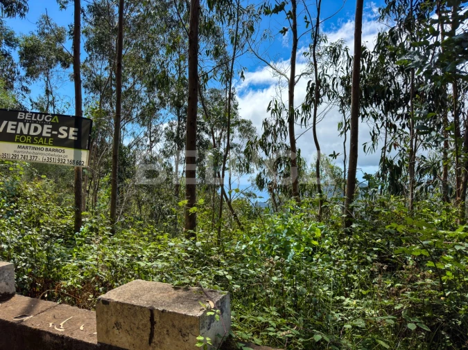 Terreno para Venda em Campanario Foto 19
