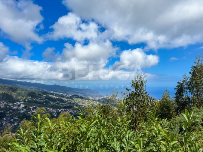 Terreno para Venda em Campanario Foto 30