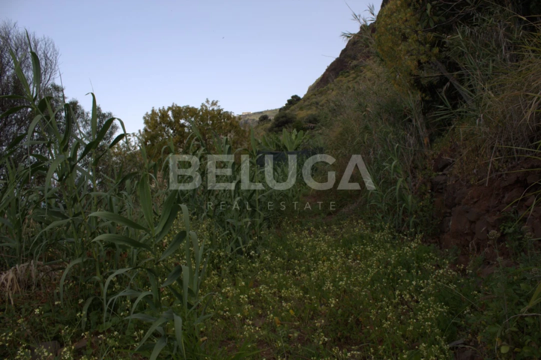 Terreno para Venda em Paul do Mar Foto 48