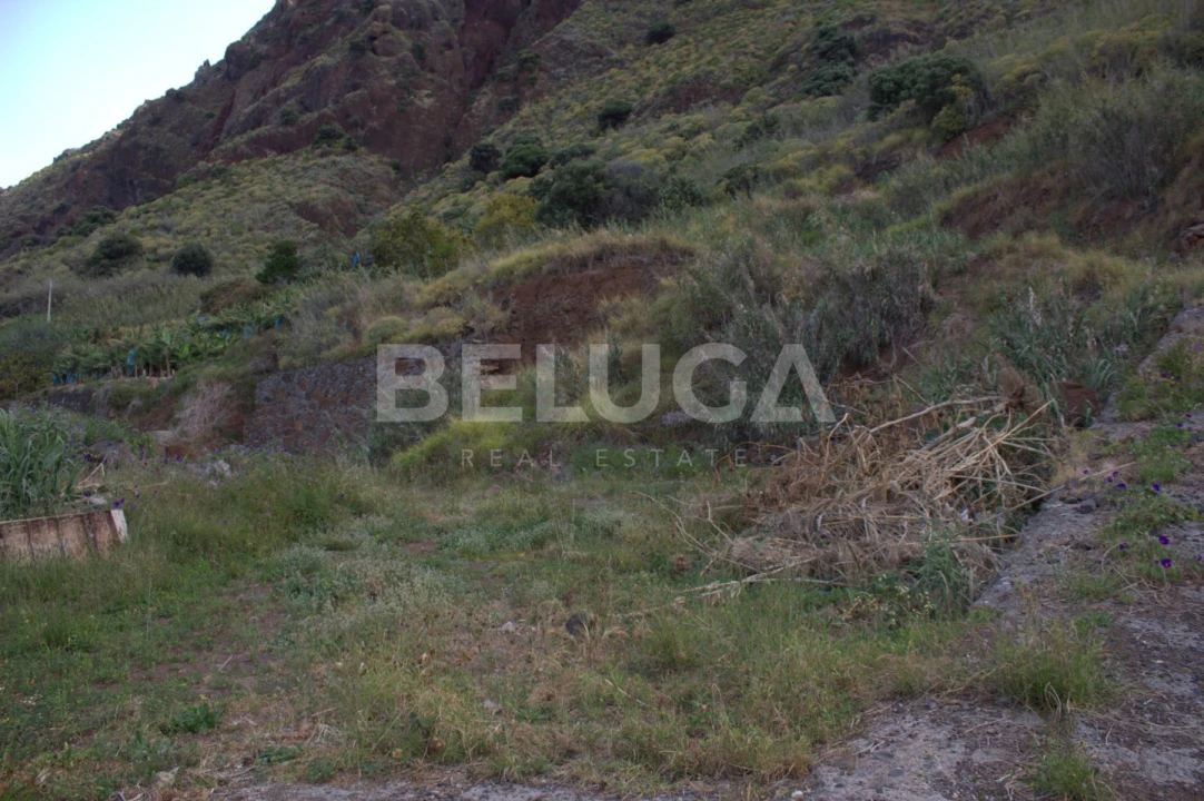 Terreno para Venda em Paul do Mar Foto 55