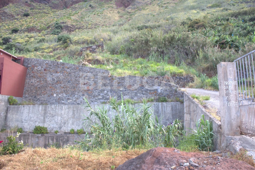 Terreno para Venda em Paul do Mar Foto 59