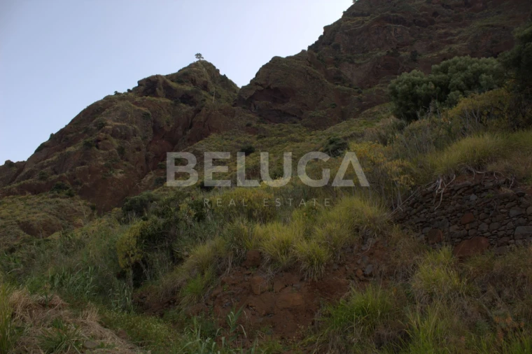 Terreno para Venda em Paul do Mar Foto 49